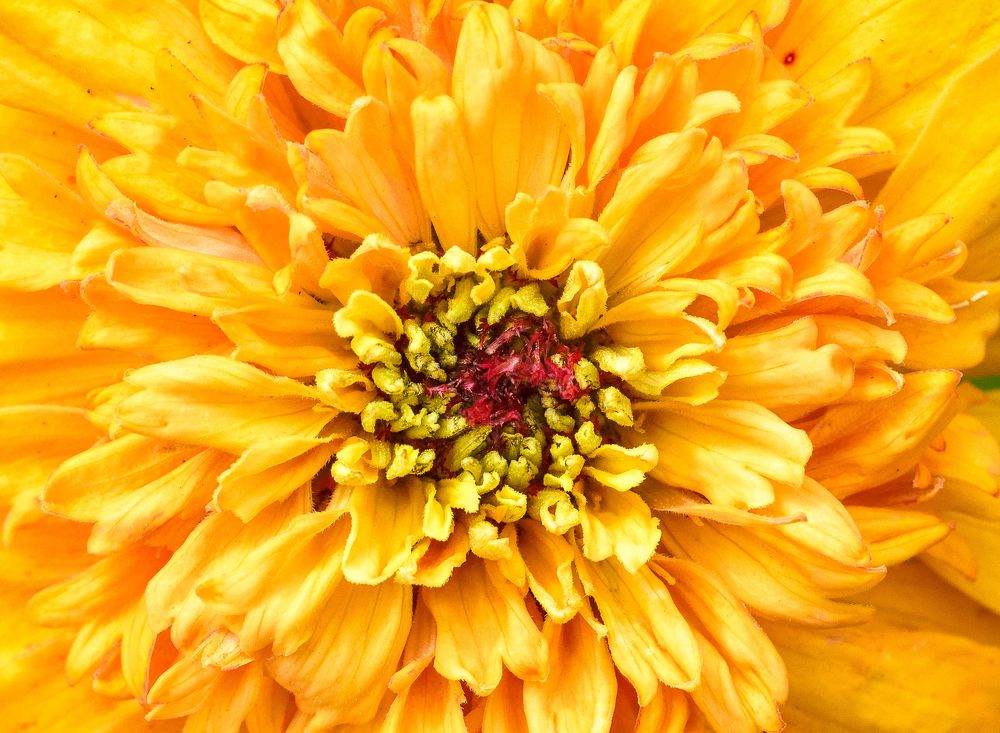 Photograph by Олеся zme