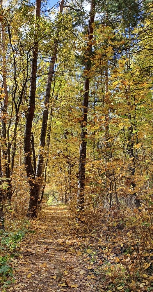 Photograph by Людмила Лукьяненко