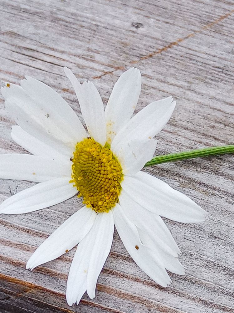 Photograph by Оксана Подъельская