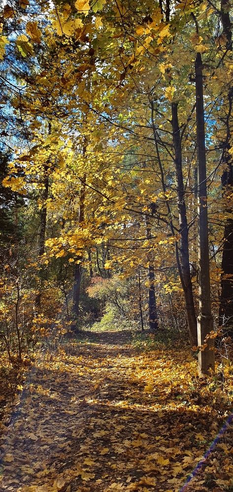 Photograph by Людмила Лукьяненко