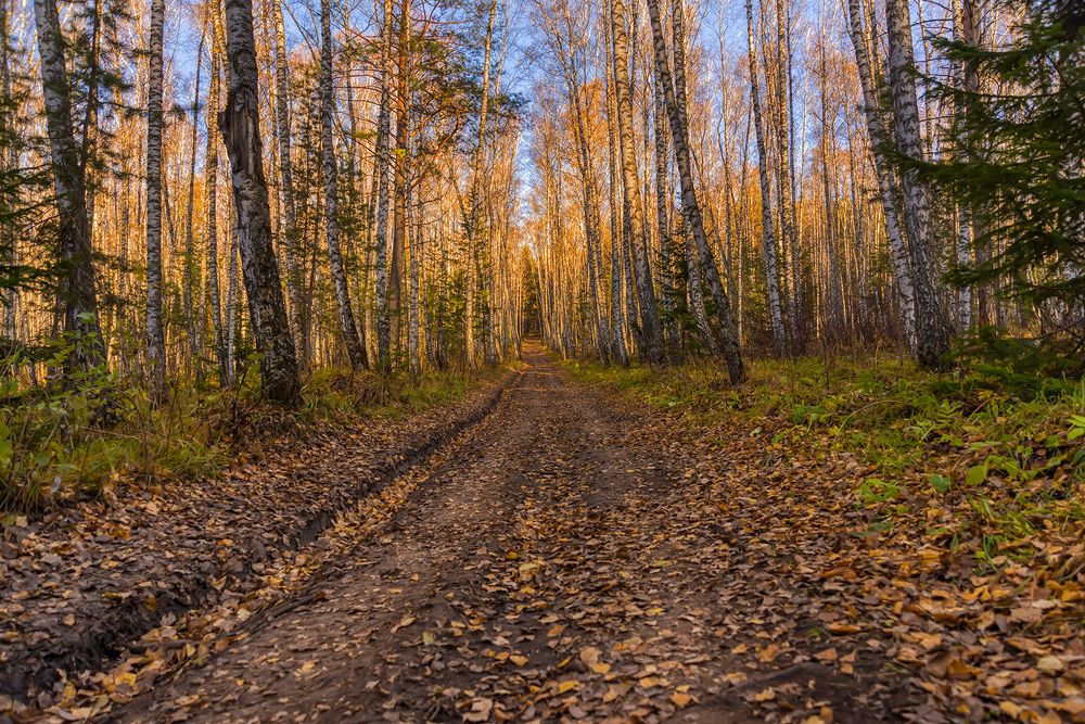 Photograph by Наталья Дроздова