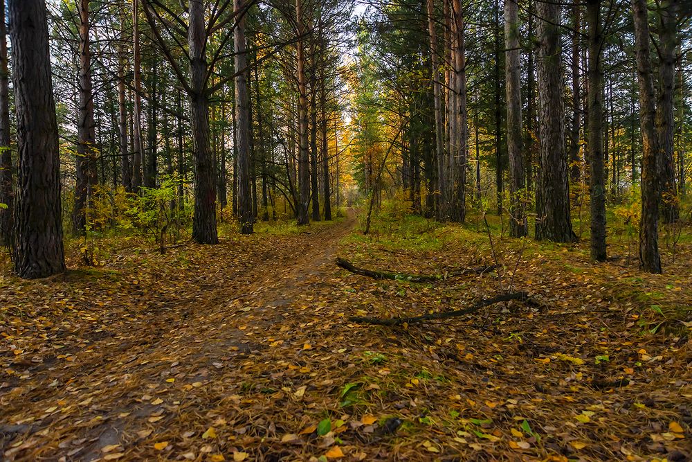 Photograph by Наталья Дроздова