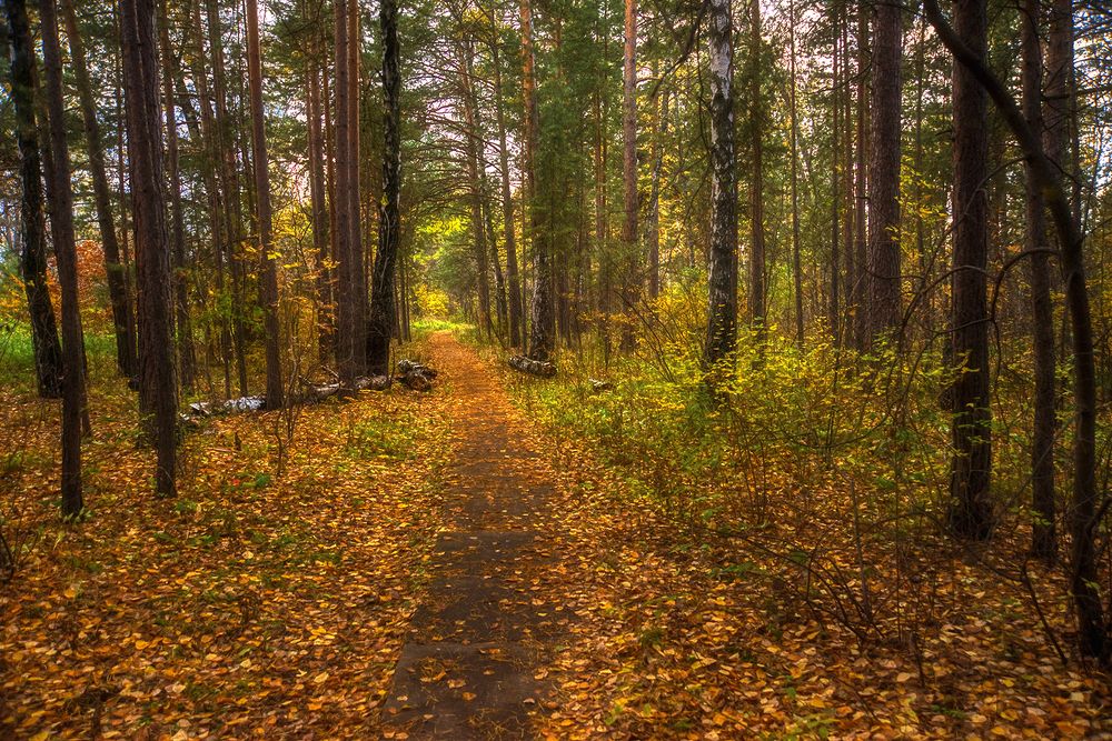 Photograph by Наталья Дроздова