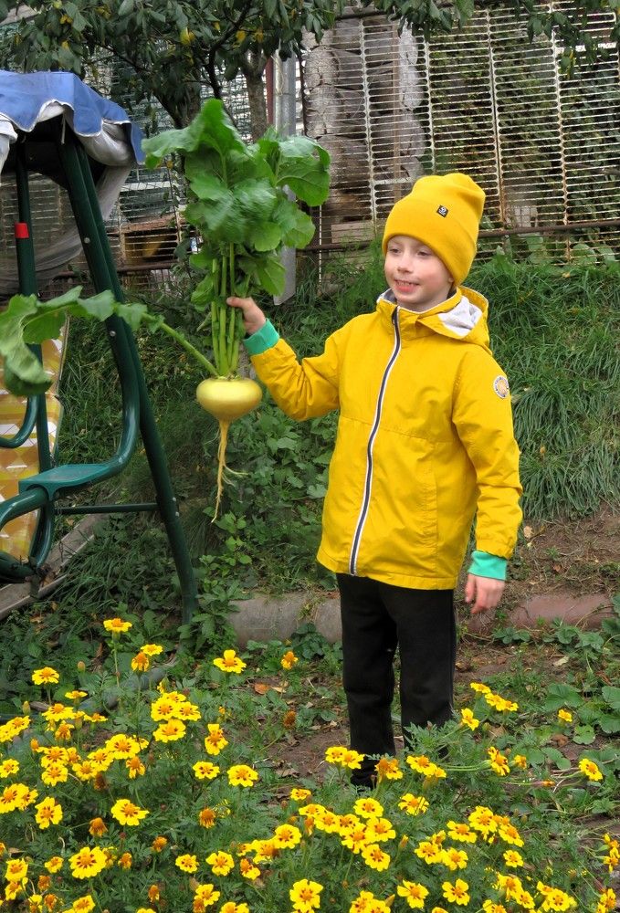 Photograph by НАТАЛЬЯ РОДИНА