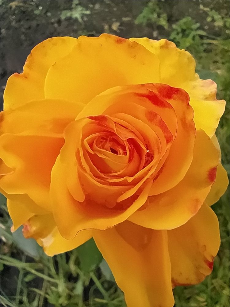 Photograph by Юрий Гордеев