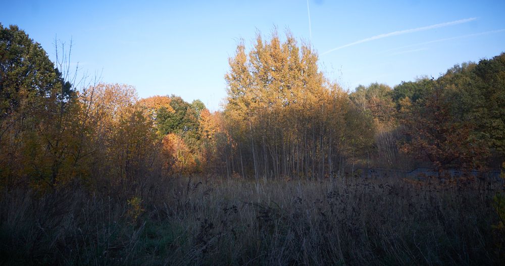 Photograph by Inna Tatarchenko