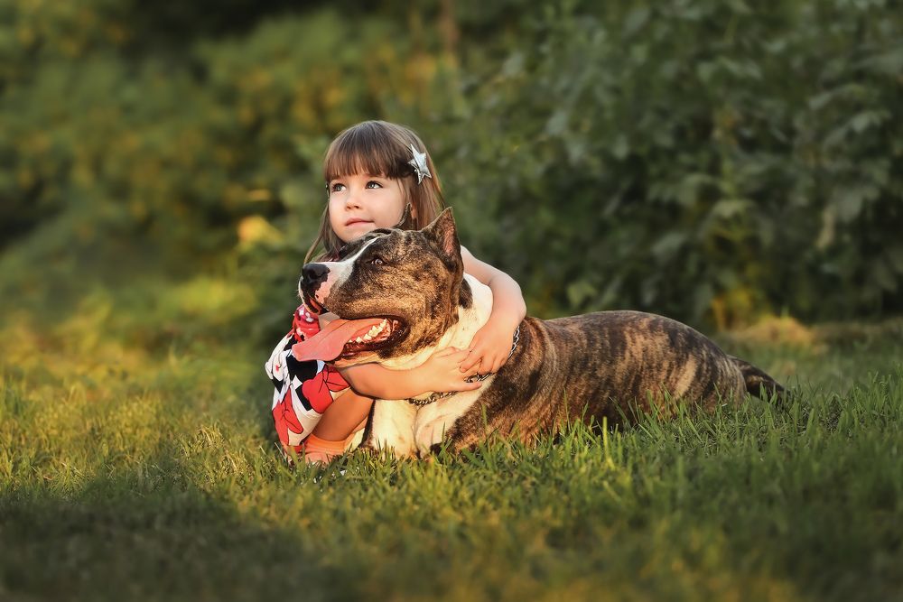 Photograph by Клеменок Сергей