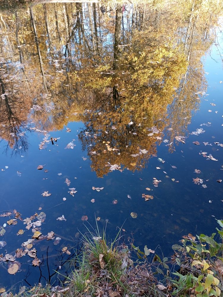 Photograph by Татьяна Кунц