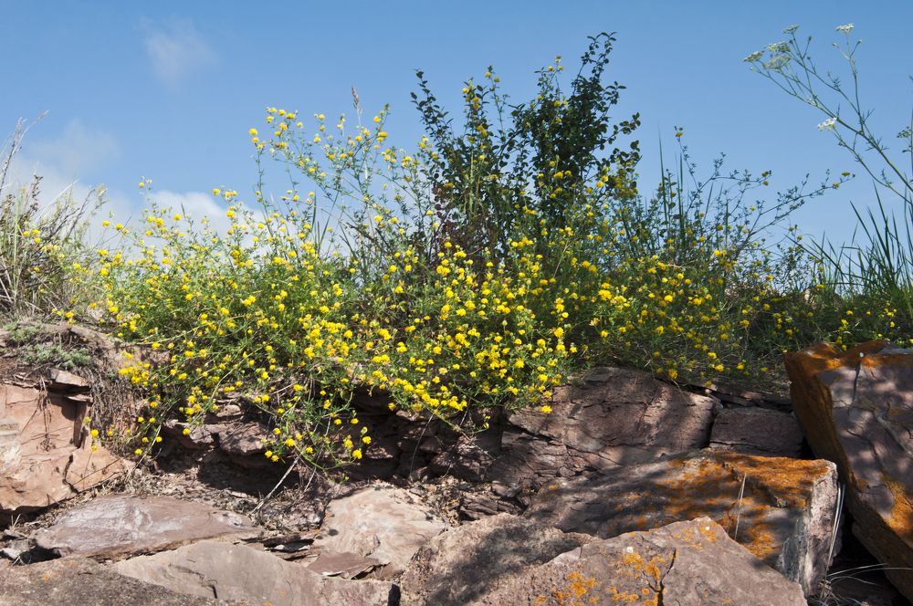 Photograph by Наталья Дроздова