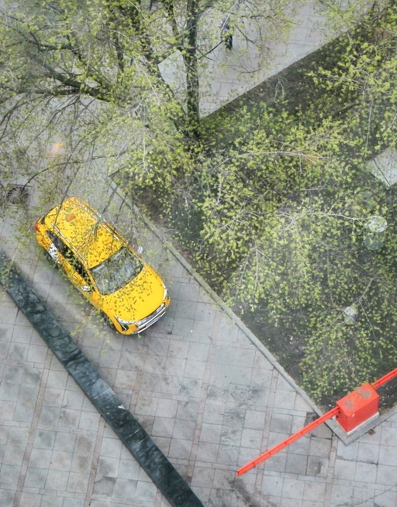 Photograph by Sergey Kurkov-Tarkovsky