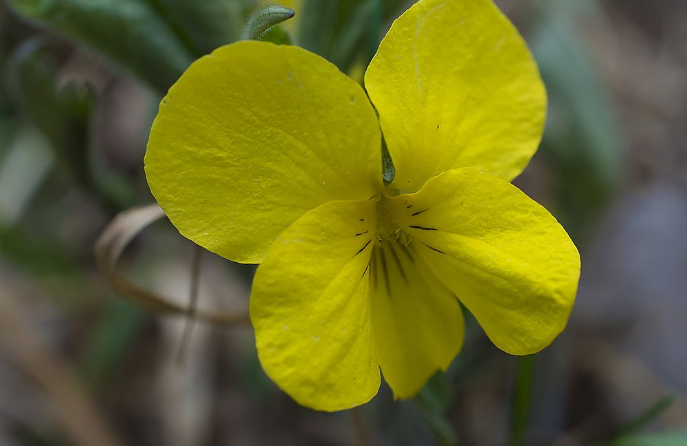 Photograph by Наталья Дроздова