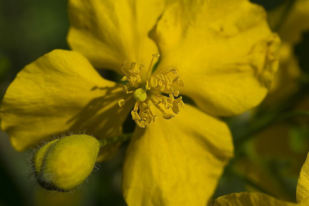 Photograph by Наталья Дроздова