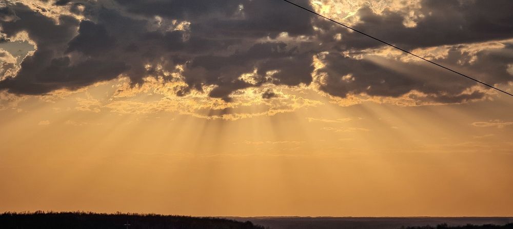 Photograph by Natasha Kim