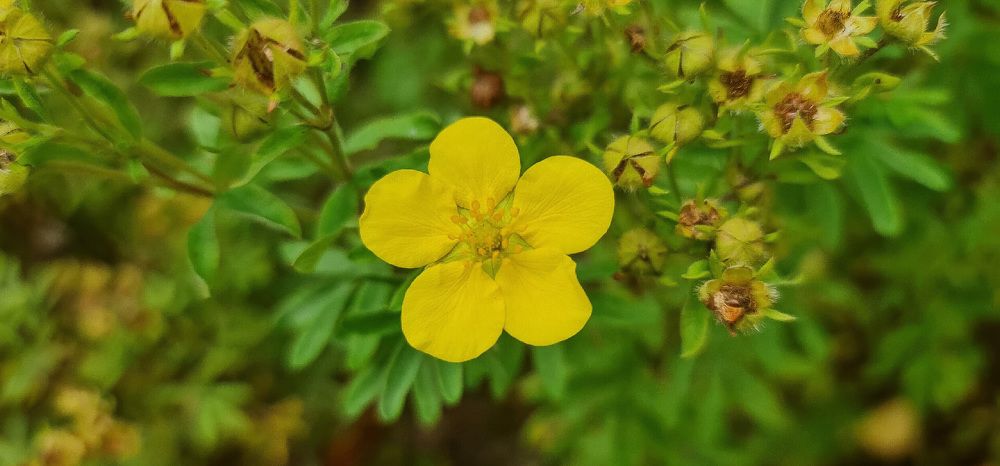 Photograph by Natasha Kim