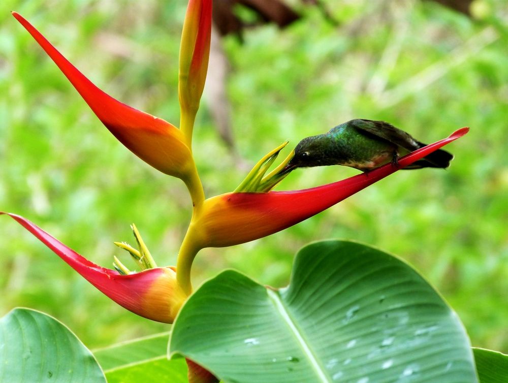 Photograph by GLEYDA GUTIÉREZ