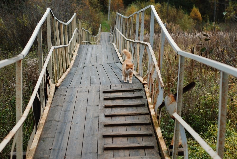 Photograph by Ася Батурина