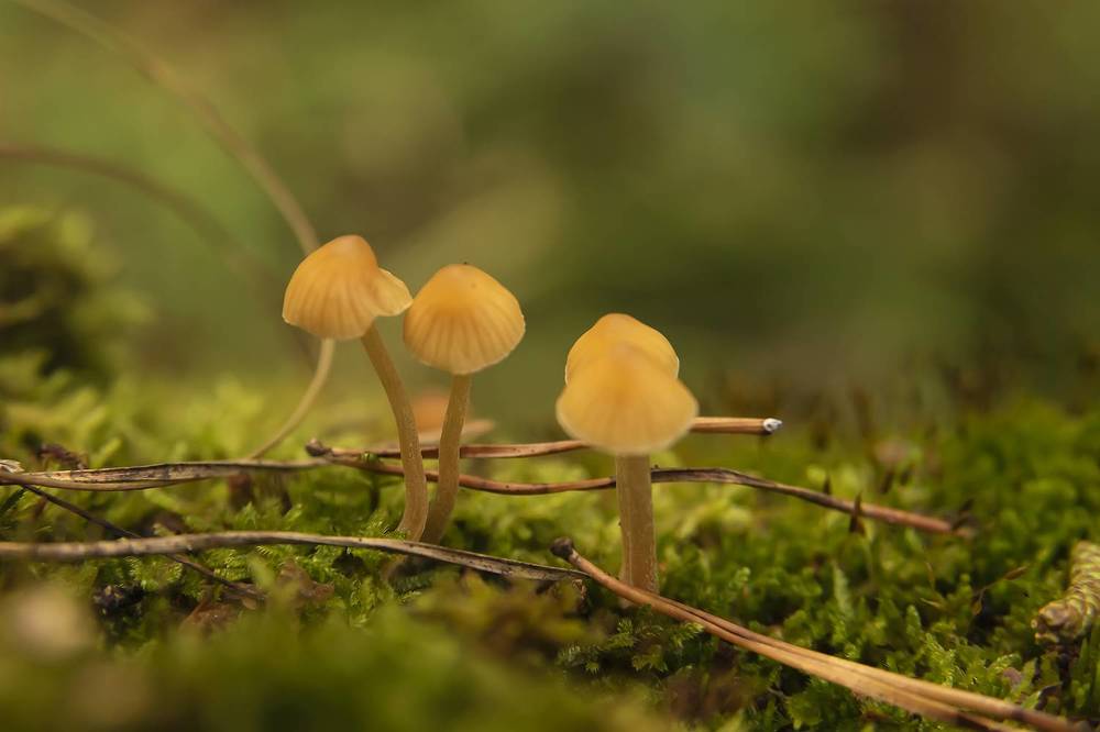 Photograph by Наталья Дроздова