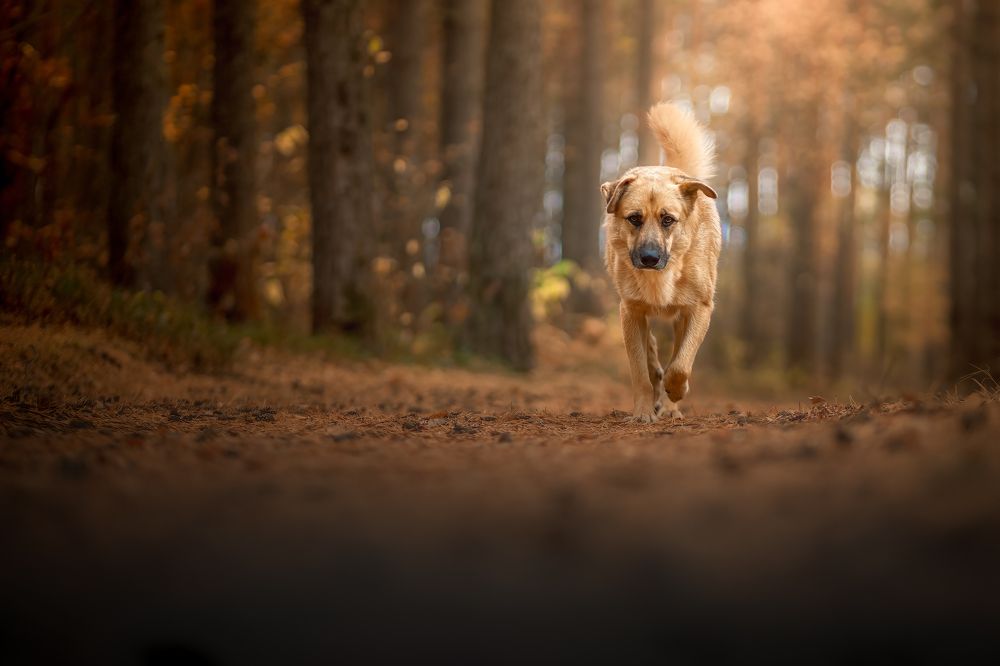 Photograph by Aleksandr Solovev