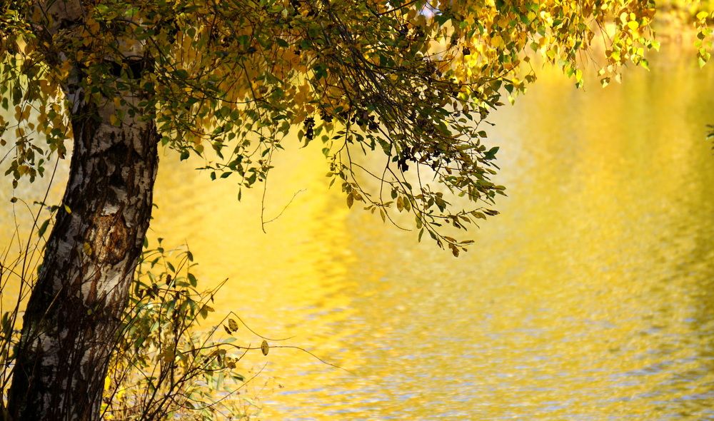 Photograph by Блюмина Елена