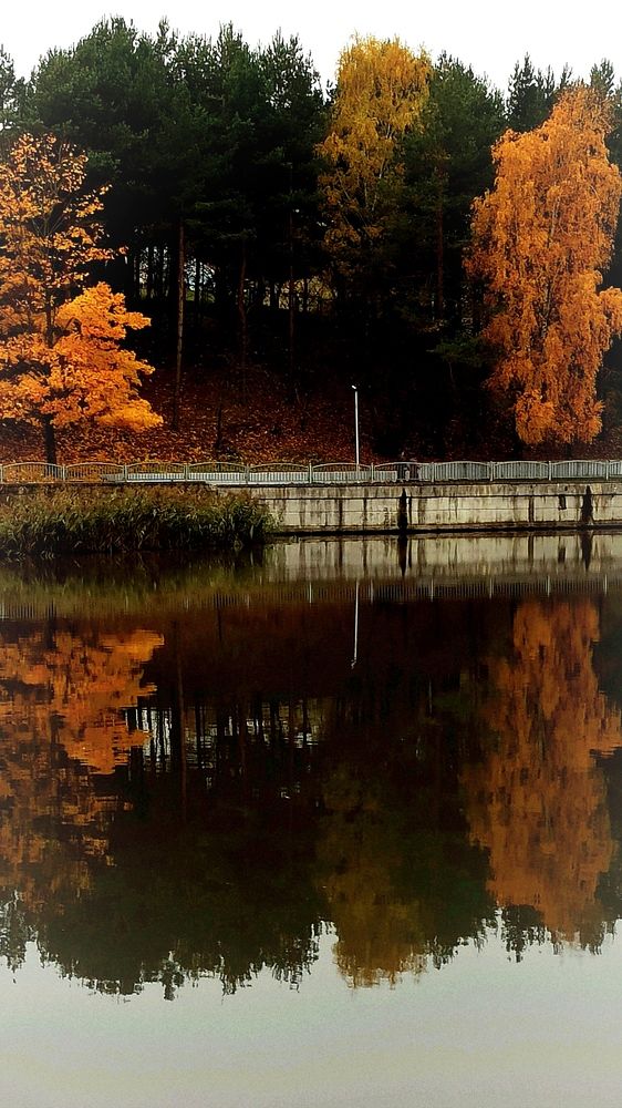 Photograph by Людмила Щуцкая