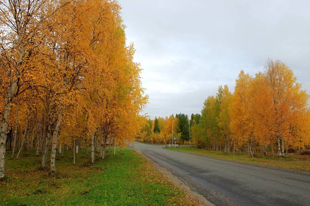 Photograph by Борис Чернов