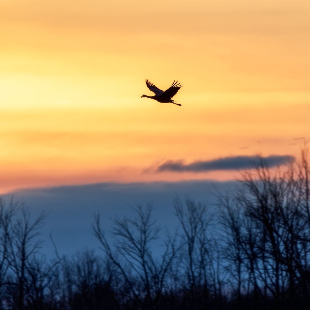 Photograph by Zhenhuan Zhou