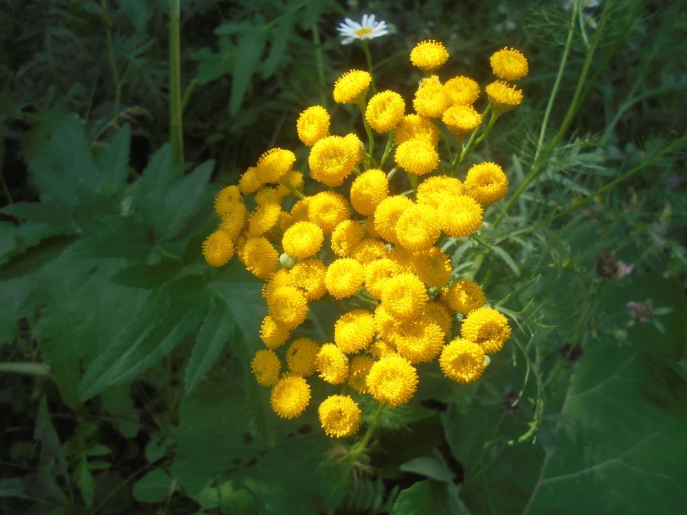 Photograph by Лилия Исхакова