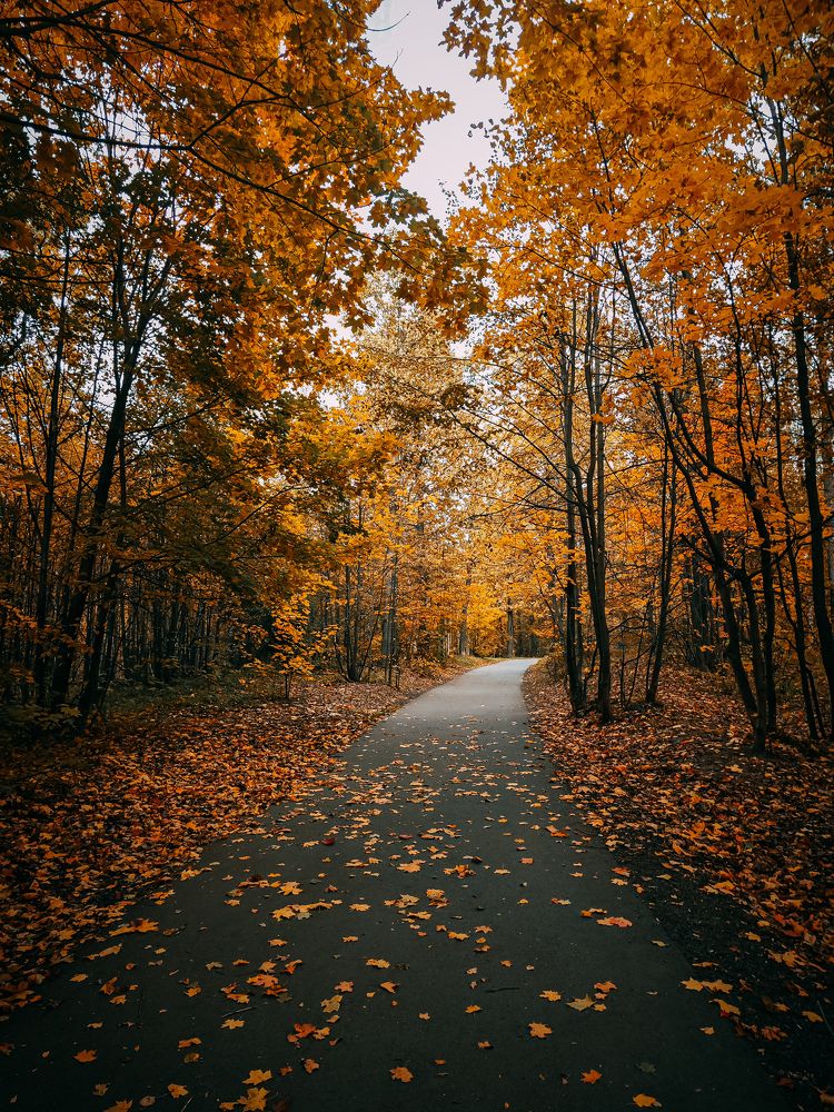 Photograph by OksanaRogaleva