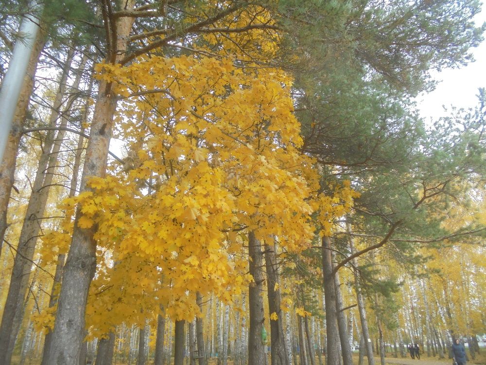 Photograph by Лилия Исхакова