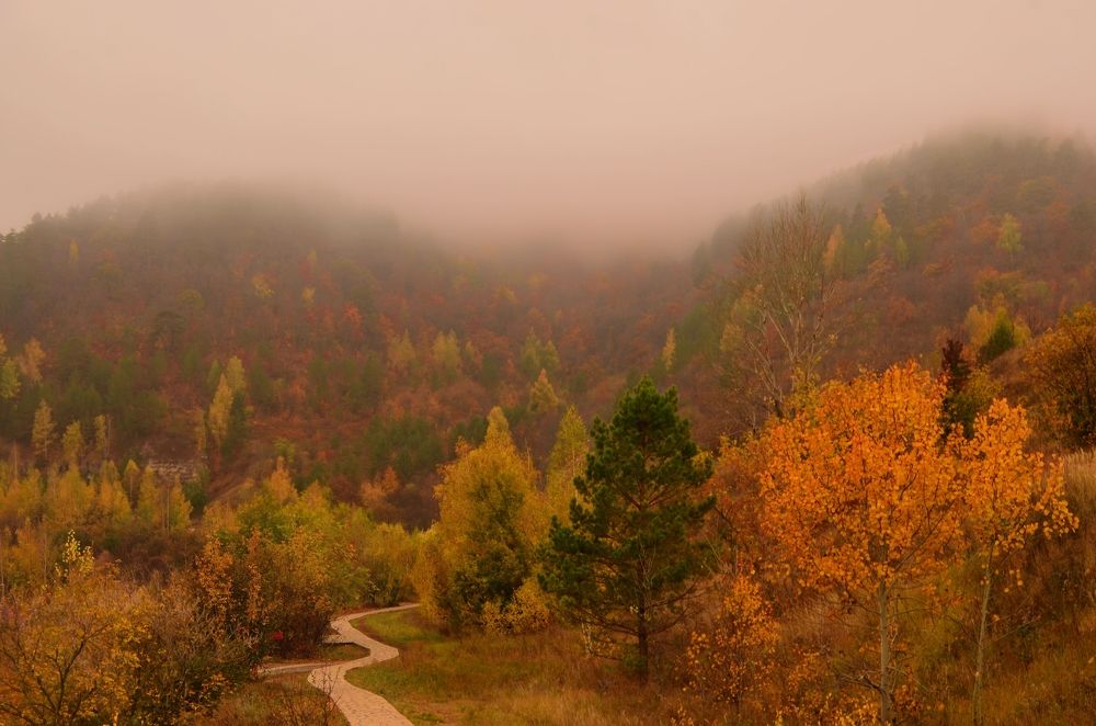 Photograph by Наталья Иванова