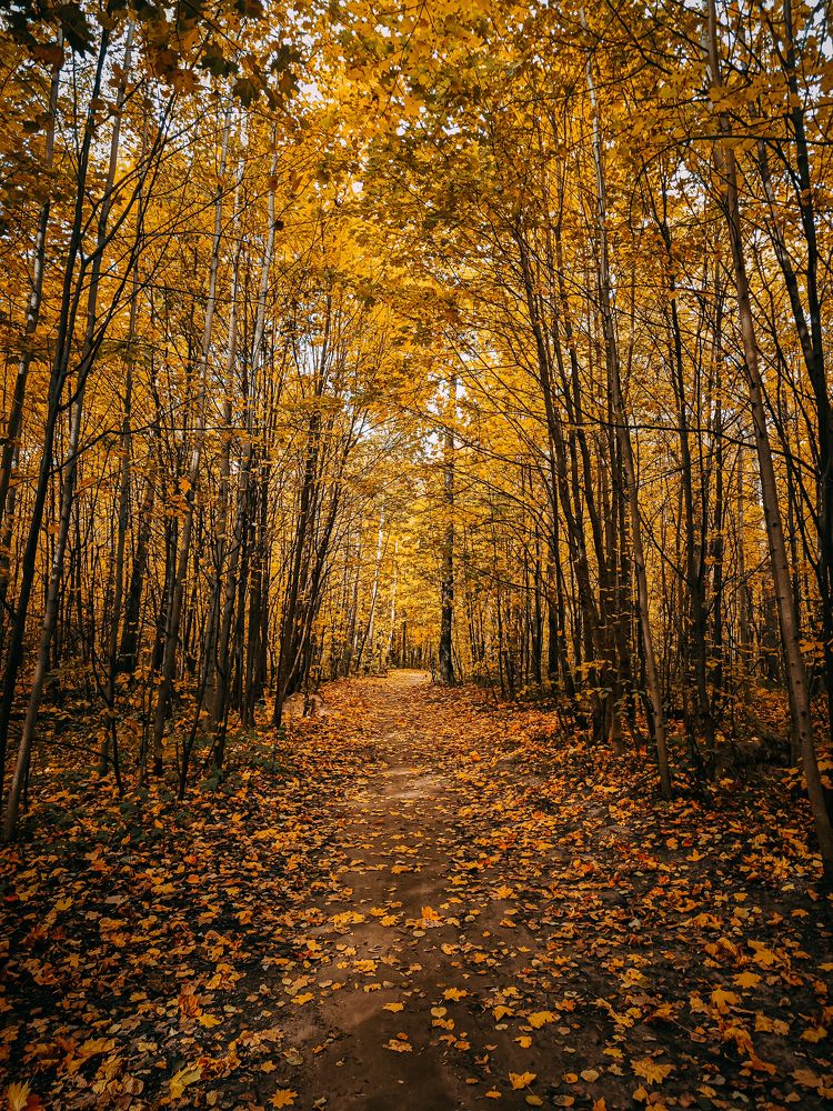 Photograph by OksanaRogaleva