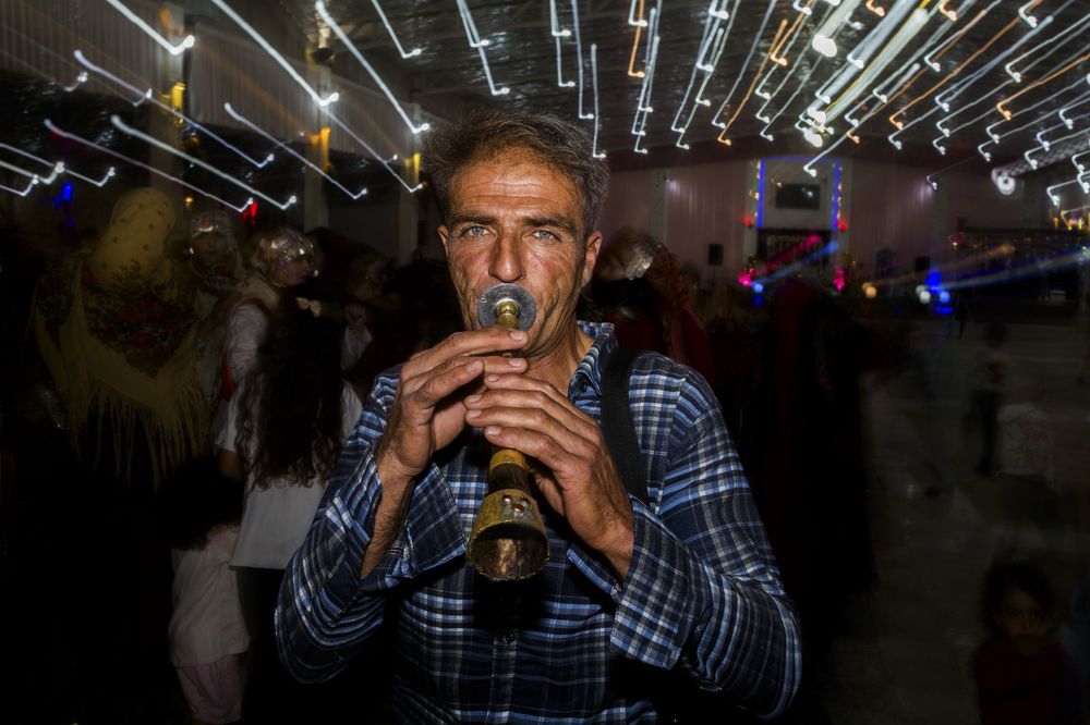 Photograph by seyed mostafa yousefi