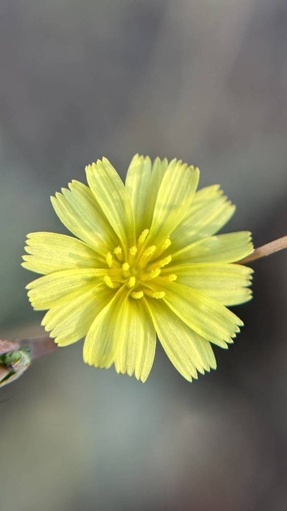 Photograph by Елена Гущина