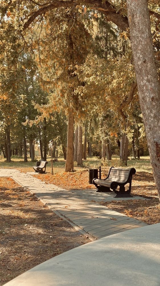 Photograph by Елена Гущина