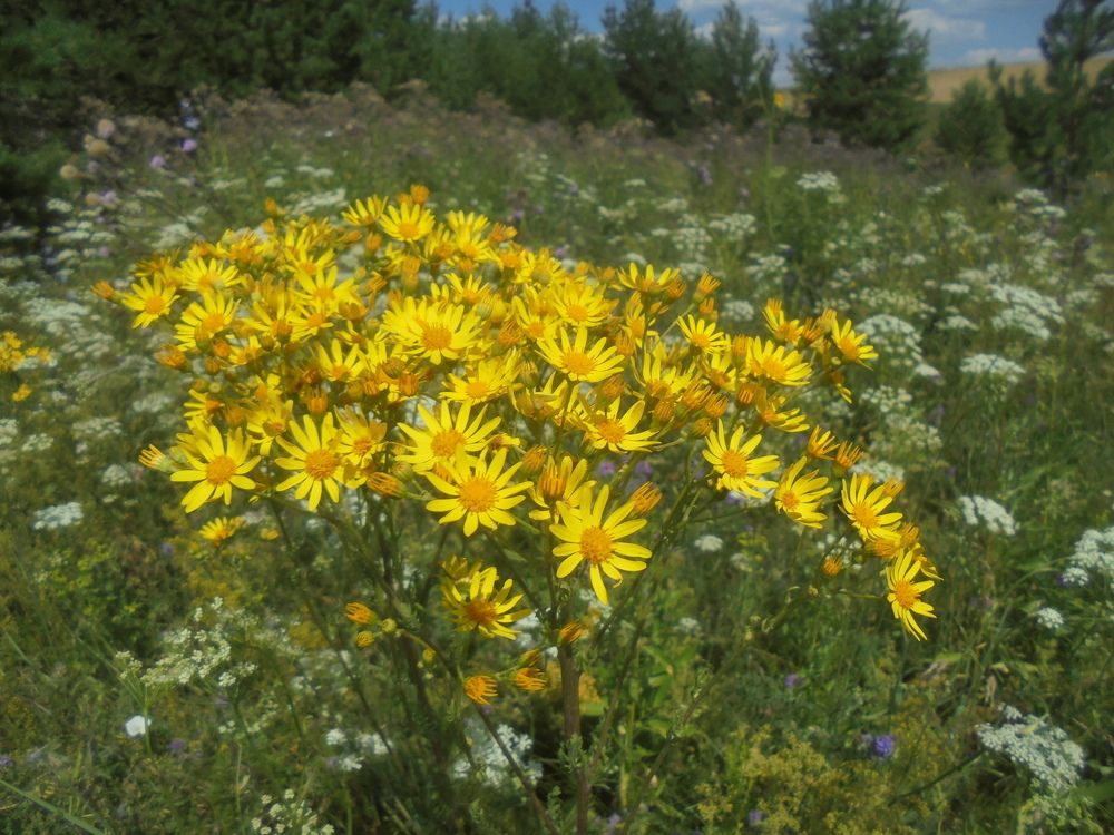 Photograph by Лилия Исхакова