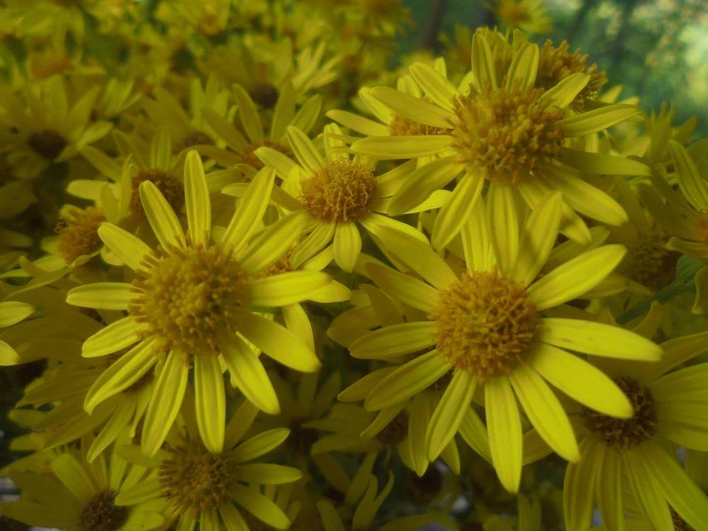 Photograph by Лилия Исхакова