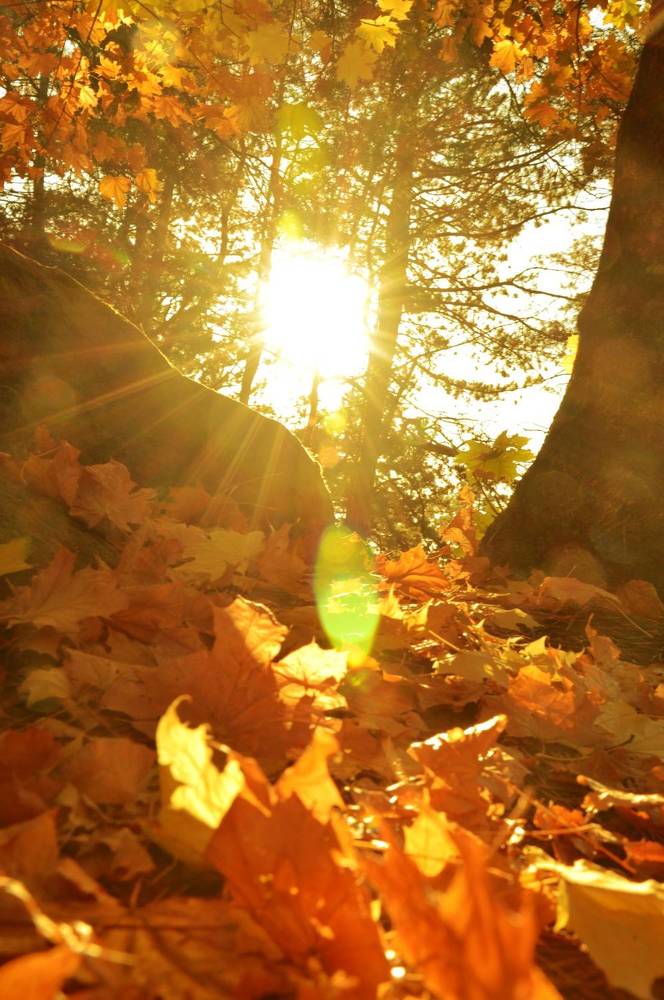 Photograph by Ольга Шевцова