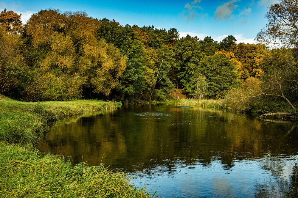 Фотография автора Екатерина Счасная