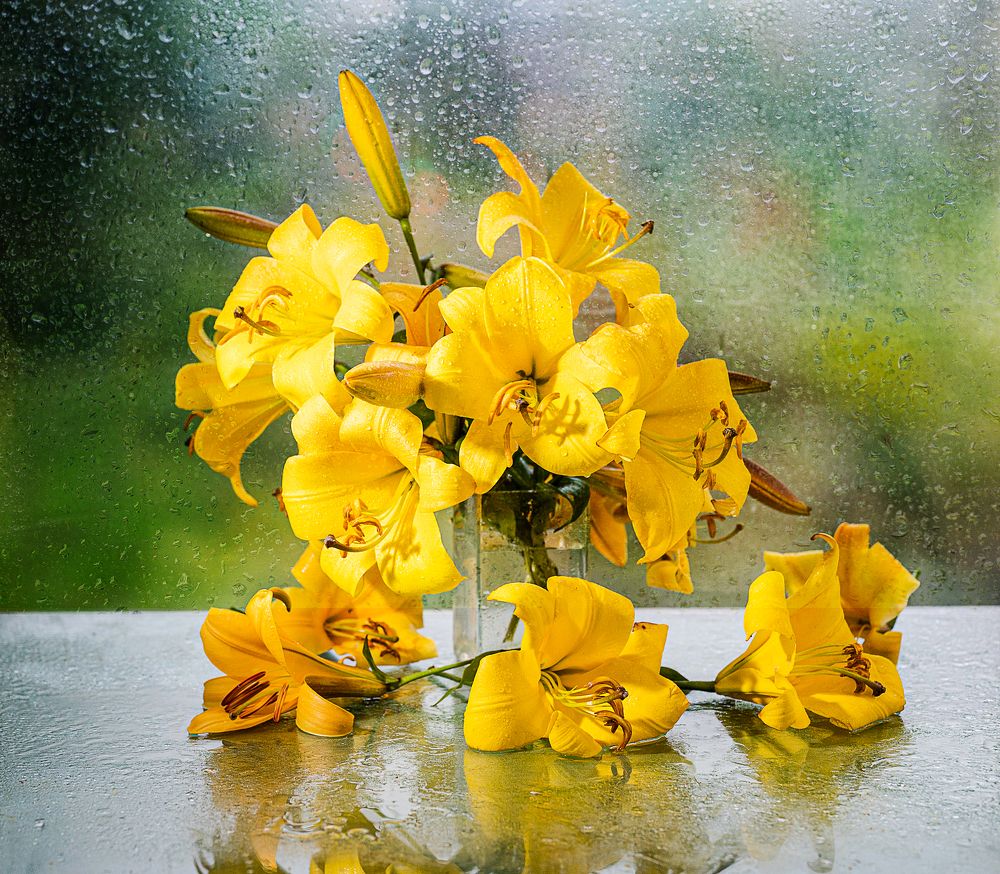 Photograph by NADEZHDA PELYMSKAIA