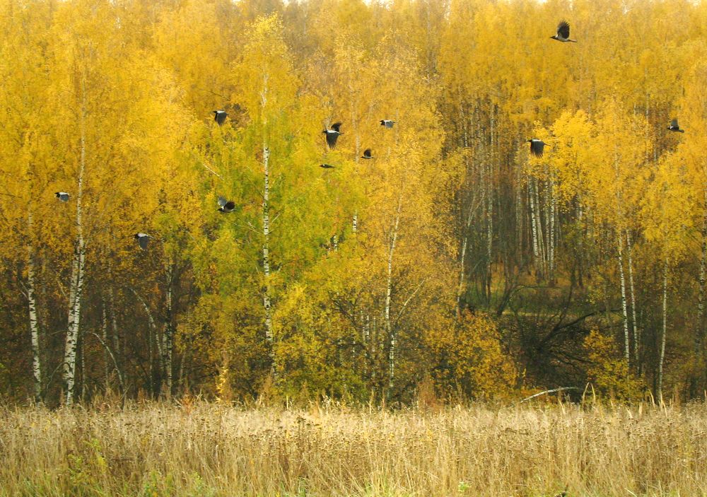 Photograph by Ионова Татьяна