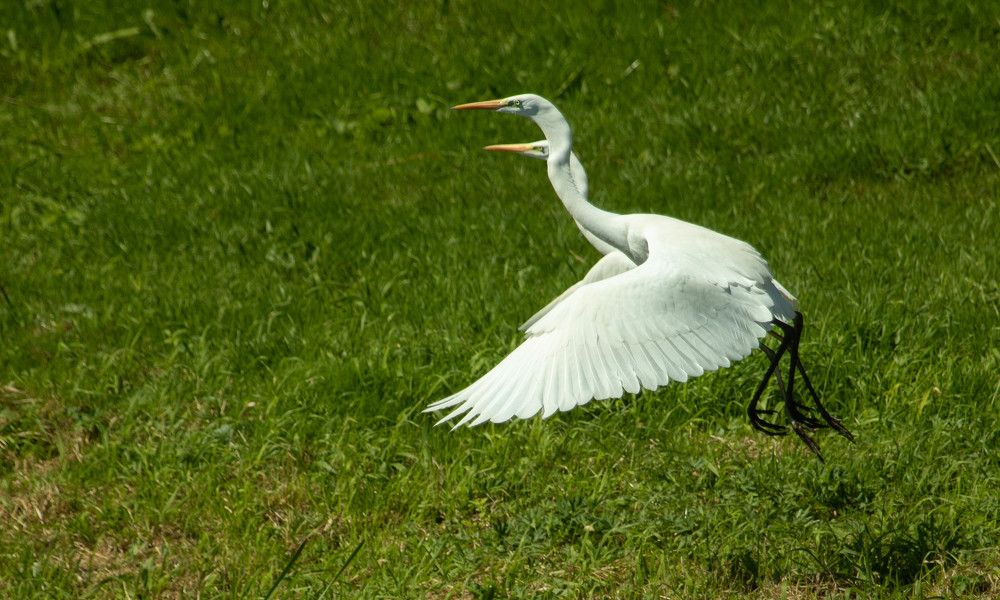 Фотография автора Екатерина Счасная