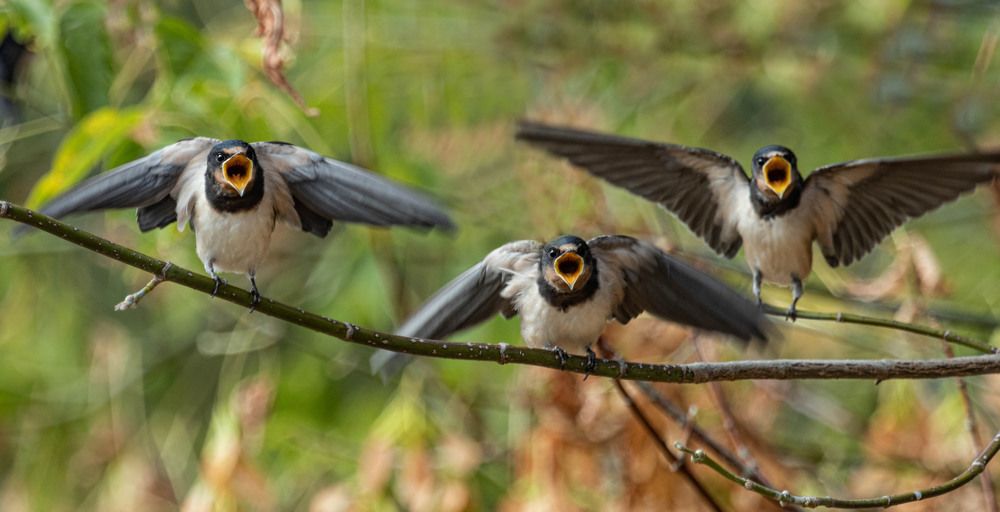 Фотография автора Екатерина Счасная