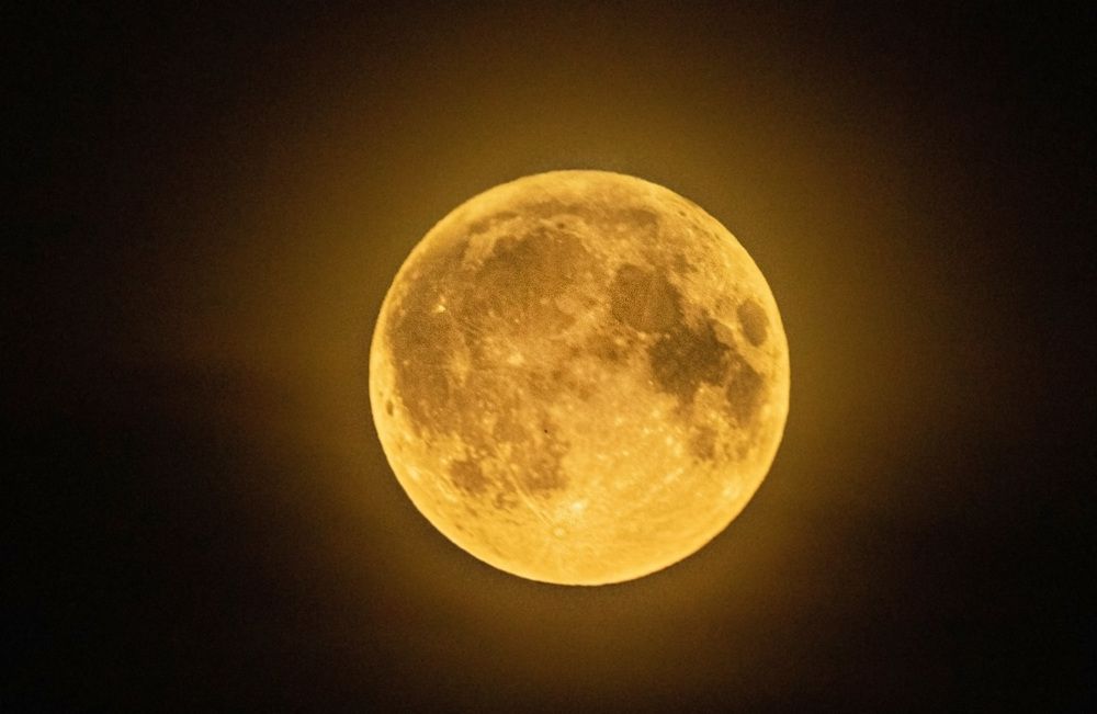 Фотография автора Екатерина Счасная