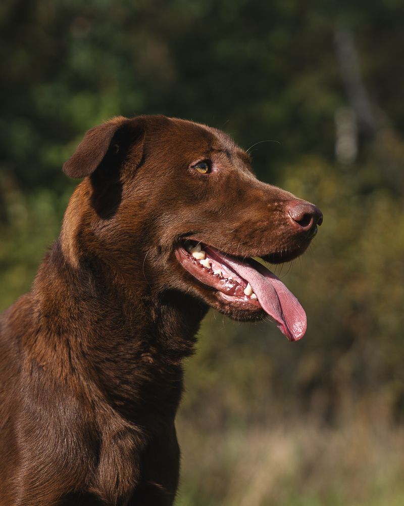 Photograph by Данил Шауба