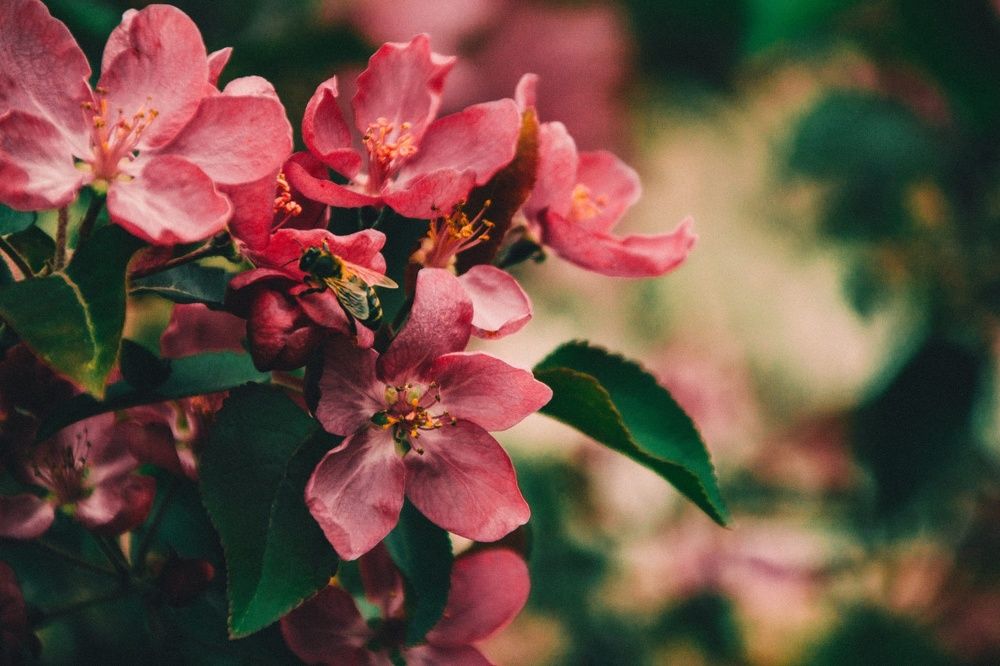 Photograph by Алла Шаталова