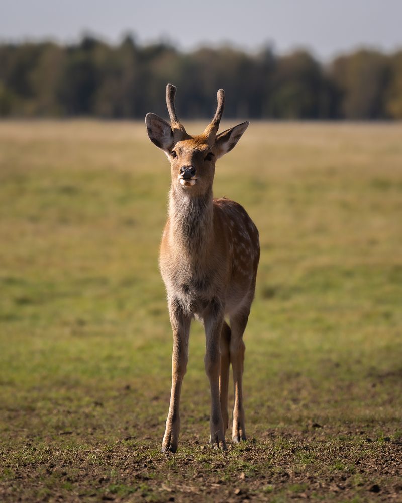 Photograph by Данил Шауба