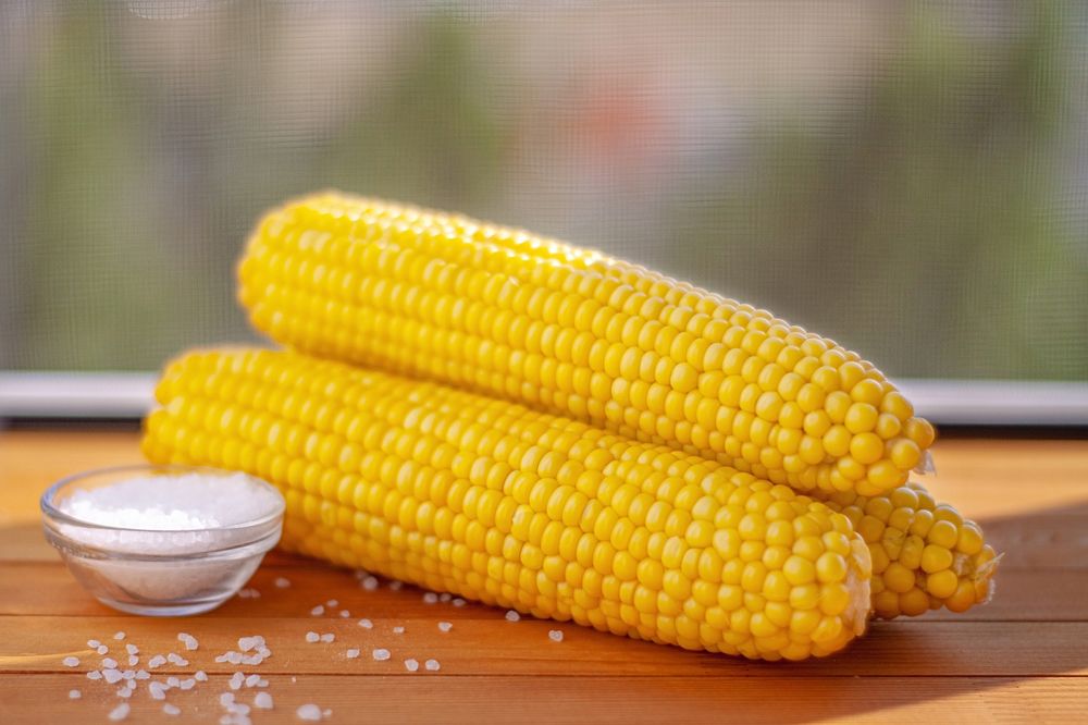 Фотография автора Валерий Елистратов