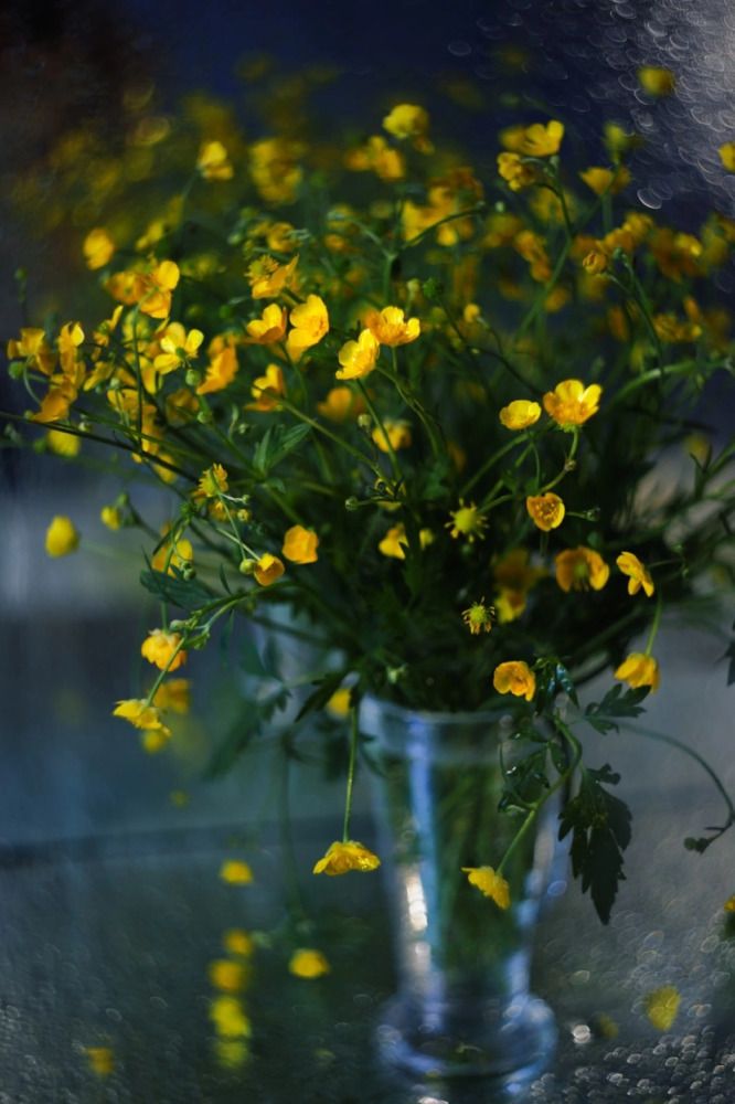 Photograph by Лариса Торопченкова