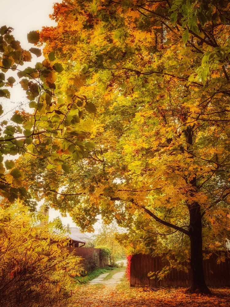 Photograph by Екатерина Чижевская