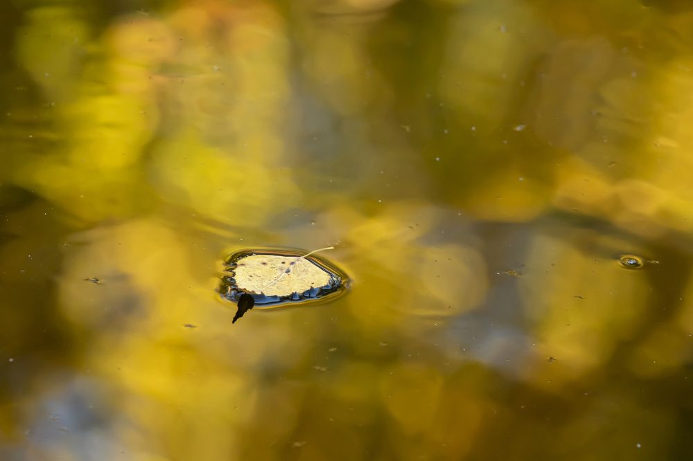 Photograph by Юлия Куликова